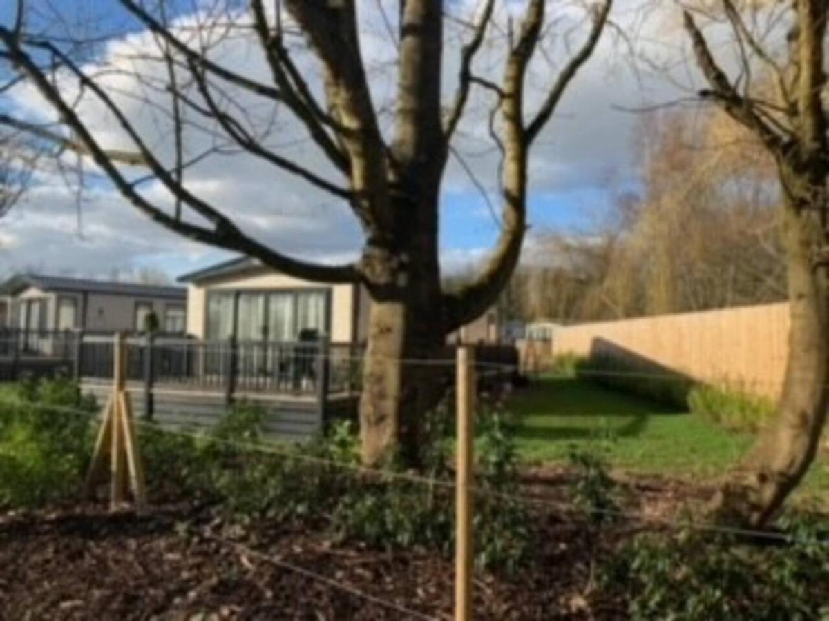 Captivating Bluebell Lodge 2-Bed Cotswolds Caravan Cirencester Exterior foto